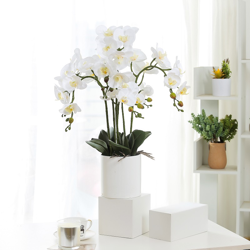 Hot sälja riktig touch potted artificiell orkidé