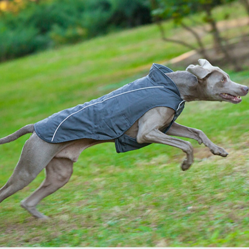 Oem/odm söt liten hund hoodie coat pet tyg sweatshirt valp katt pullover hund tyg grossist hund vinterrock