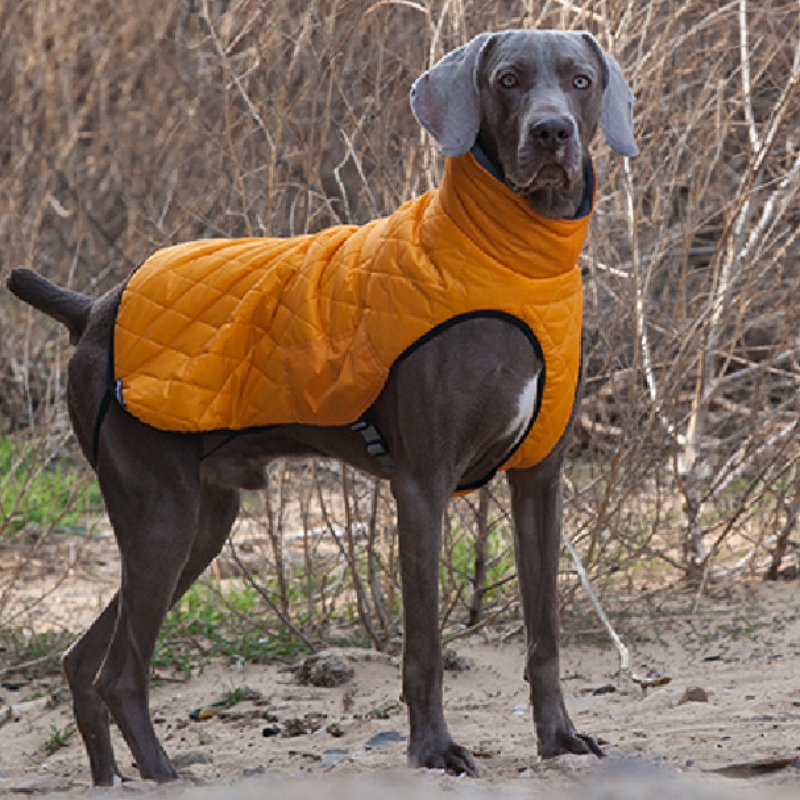 Amazon Hot Sale New Pet Clothes Dog Kläder Höst och Vinter förtjockad Elastic Sweater Pet Sweater