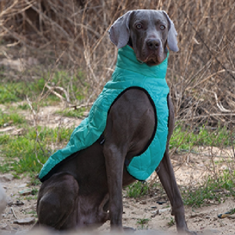 Amazon Hot Sale New Pet Clothes Dog Kläder Höst och Vinter förtjockad Elastic Sweater Pet Sweater