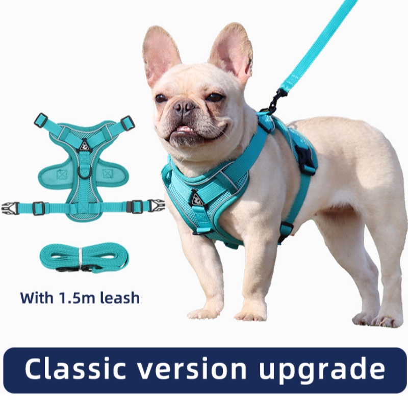 Fashion Pet Vest Typ Traction Bröstband Katt Hund Justerbar Retractable Traction Rope Walking Dog Rope Collar