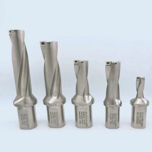 3D U borrinsats spmg