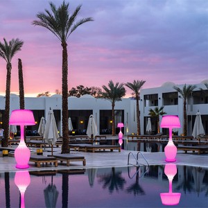 Morden Style Floor Light Multicolor Smart Speaker Floor Lamp Home Stand Lamp med batteri