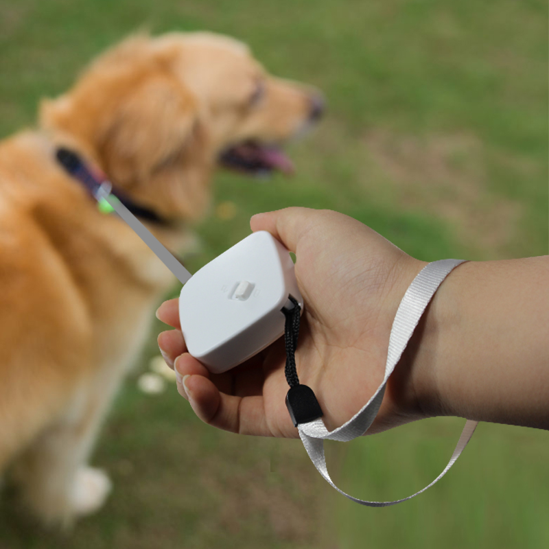 Bärbar promenad koppel mini infällbar hund koppel för små hundar katter