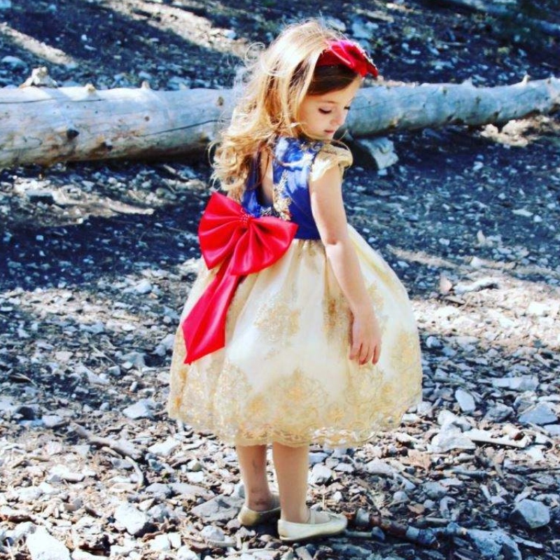 Baige Children's Flower Dress Kids Clothing 0-5 Y Girls Lace Wedding Party Dresses With Pannband L5192XZ