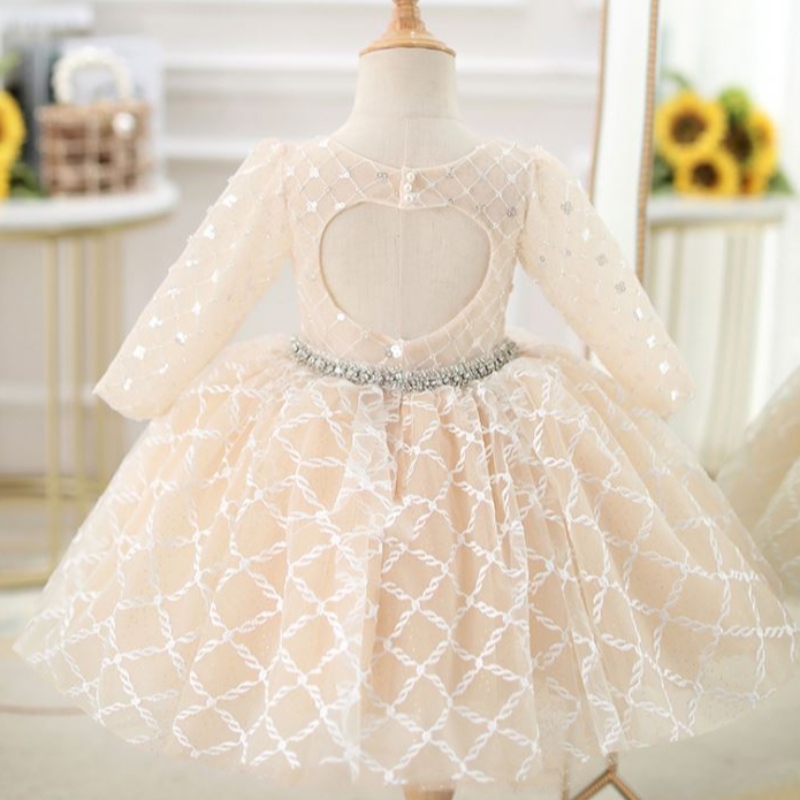 Baige OEM Children's aftonklänning Princess Girl Fluffy Yarn Flower Piano Costume Host Birthday Frock DZ003
