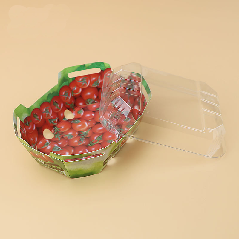Anpassade plastkartonger för fruktpunnetförpackningsbehållare med lock