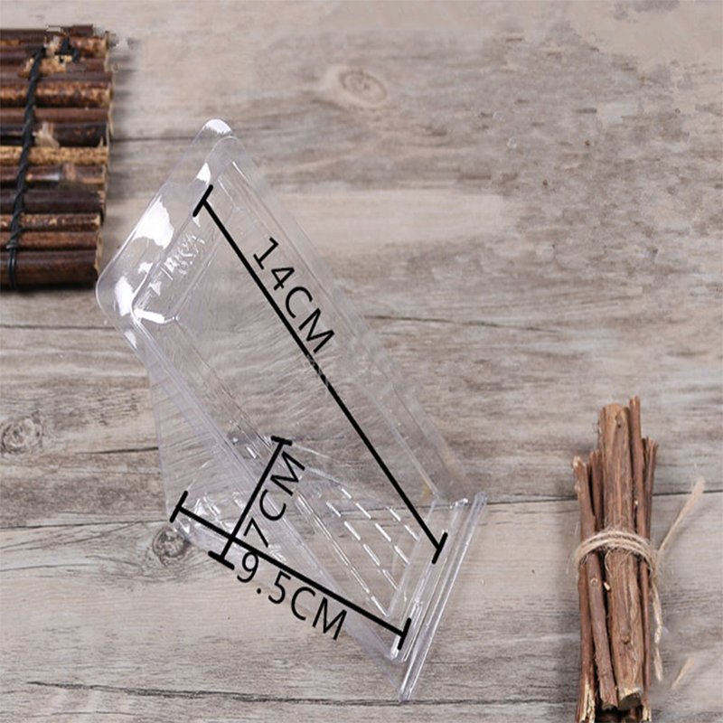 Clear Triangle Box Packaging Wholesale Plastic Food Custom Label Disponerbar Vacker Sandwich och Cake Customer's Logo Pet, PLA