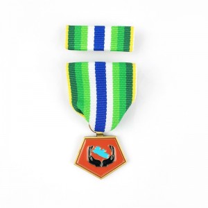 Zinklegeringsguldpläterad 3D -graverad medaljanpassad lapel -stift Inget minimum