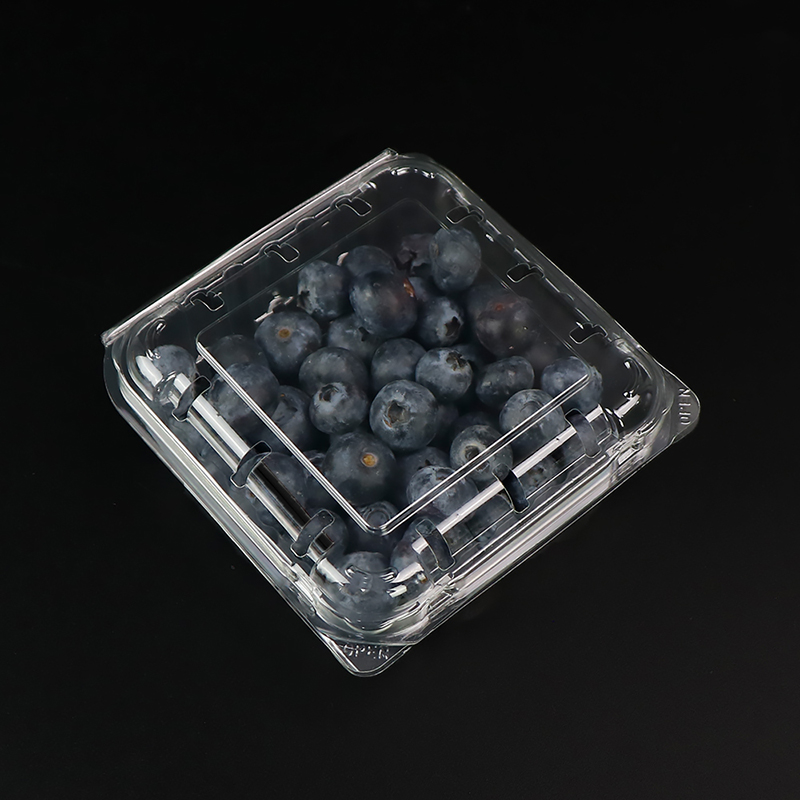 Blueberry Box Fruit Box med lock 103*108*42 mm Hgf-125b