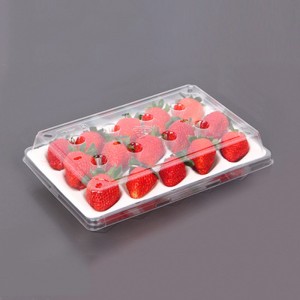 Strawberry Box (15 jordgubbar) 225*120*40 mm cm-15