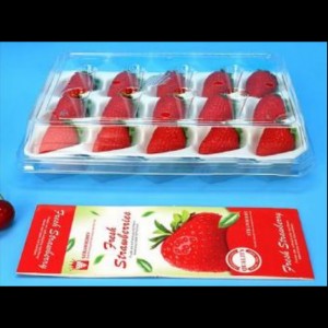Strawberry Box (15 jordgubbar) 225*120*40 mm cm-15