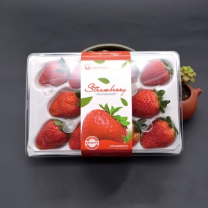 Strawberry Box (11 jordgubbar) 225*120*40 mm cm-11