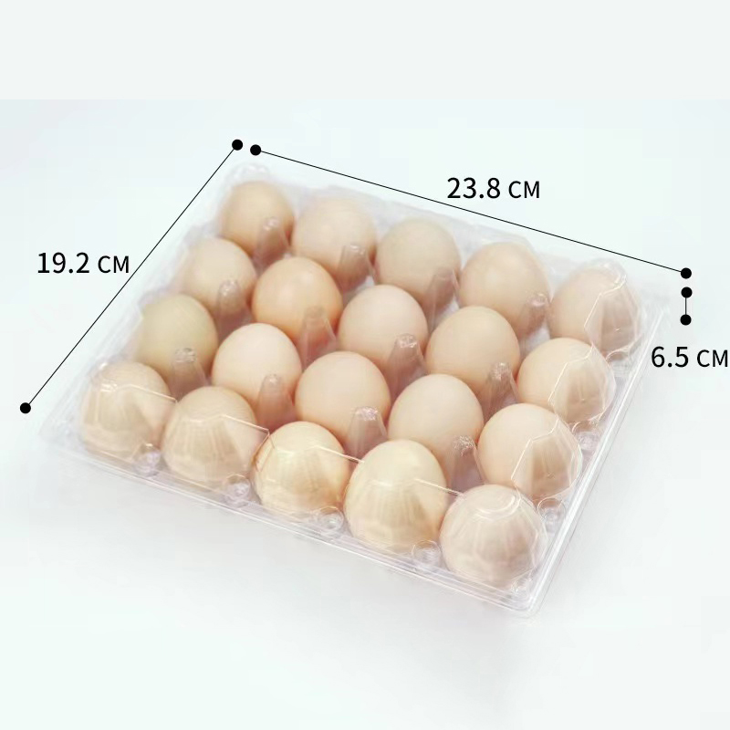 Äggfack 238*192*65 mm 20 spår