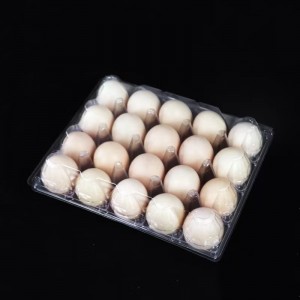 Äggfack 238*192*65 mm 20 spår