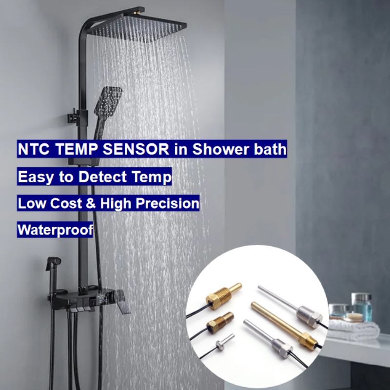 NTC Thermistor Temperatursensor i digital baddusch