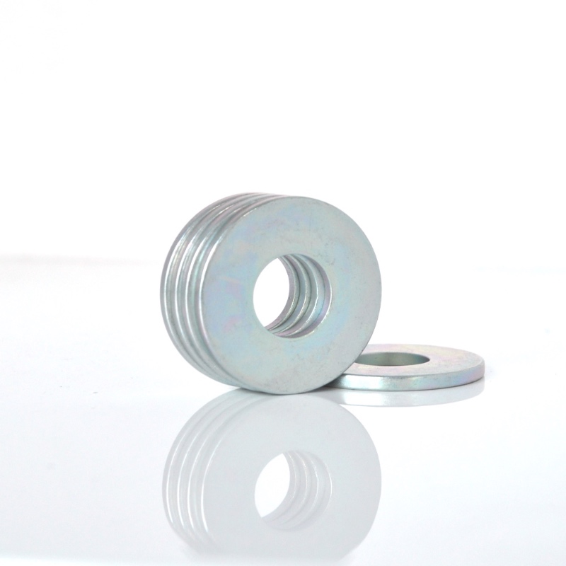 Cirkulsmagnet