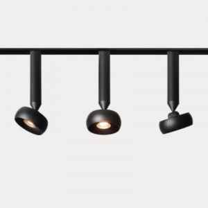 Magnetspårljusmagnet