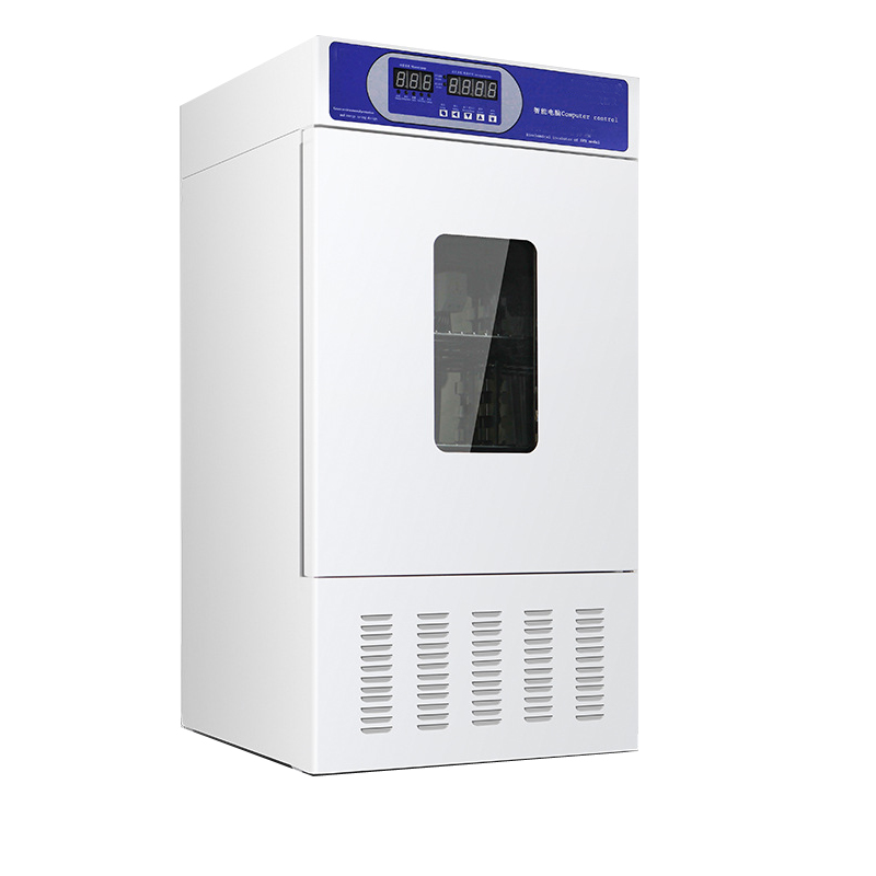 En introduktion till inkubatorn