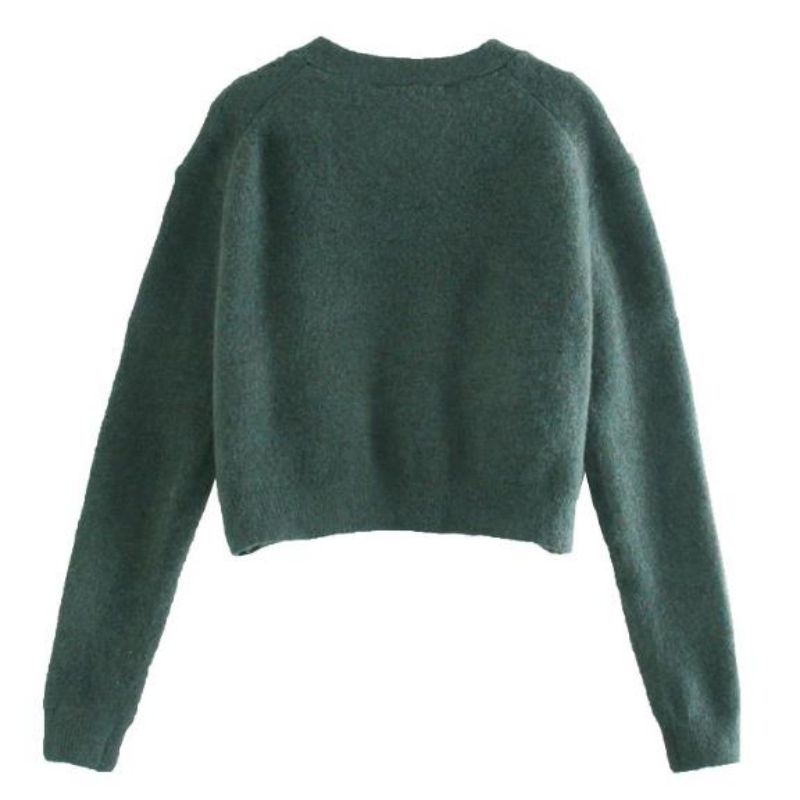 Utsökt Cardigan Lady ′ s fashionr tröja