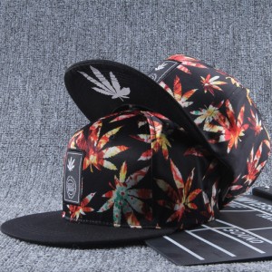 Fabriksanpassningskurva Flat Brim 6 Panel Vattentät Hip Hop Style Nylon Baseball Cap