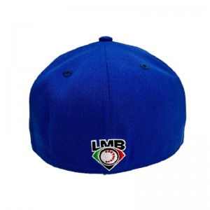 Ny hatt som säljer grossist varumärke monterad hatt 6 panel hip hop snapback cap cap