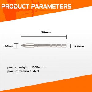 100Grain Insert Bullet Point för ID4.2mm kolpilar