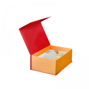 DG-600B Multi-Function Manipulator Image Positioning Machine (Multi-Servo FEIDA)