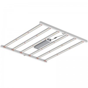 800W 4*4ft Full Spectrum Horticultural Lighting Fixture för inomhus växthus eller kommersiellt växande LED Grow Light
