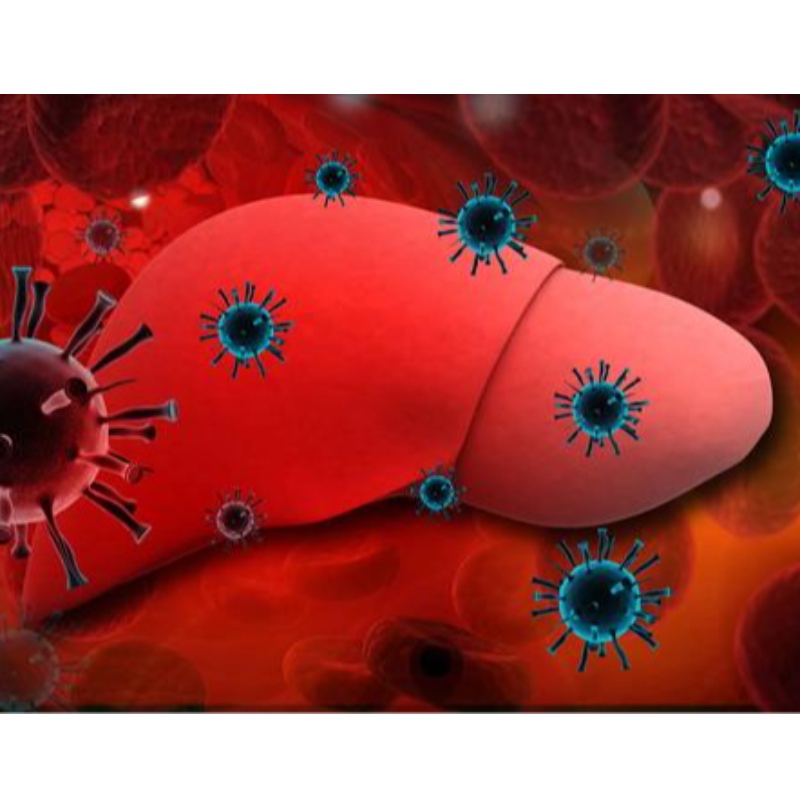 University of Parma: NMN förbättrar kronisk hepatit B