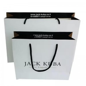 Luxury Custom Printed Laminated Shopping Present Packaging Paper Bag med din egen logotyp