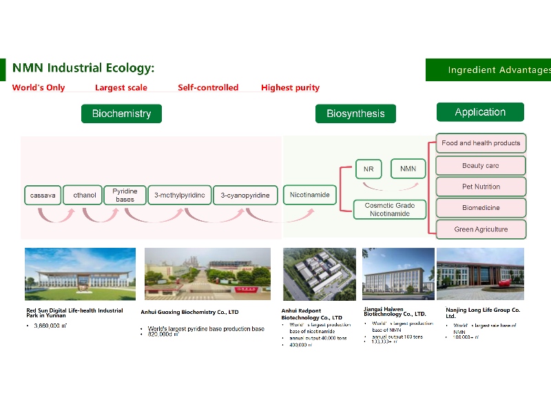 Long Life Group Co., LTD