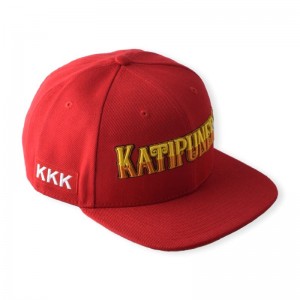 HST -märkesfabrik Direktanpassad 6 paneler TAP -tryckning Hip Hop Snapback Hat Rich Design 3D Embroidery Logo Flat Brim Cap