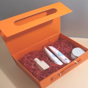 Bärbar multifunktionell förpackningslåda