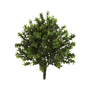 Riktiga touch palnts(inomhus-&utomhus-)