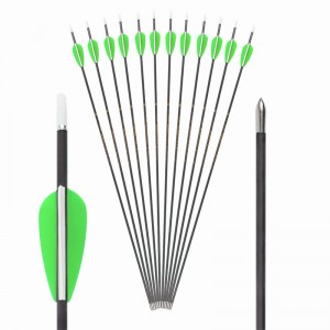 119673 30T High Modul ID3.2mm Pure Carbon Arrows