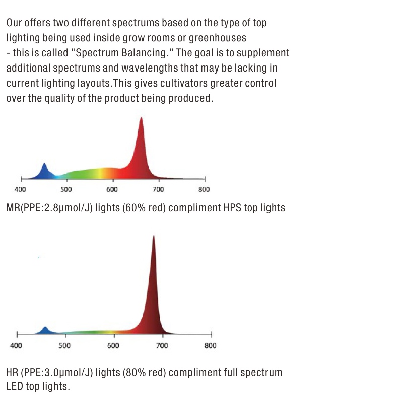 H1011 Under Canopy LED-4.jpg